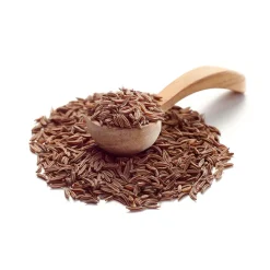 Kümmel